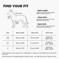 Load image into Gallery viewer, Petal TrailCape Outdoor Dog Jacket