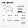 Load image into Gallery viewer, Sage Dog Raincoat