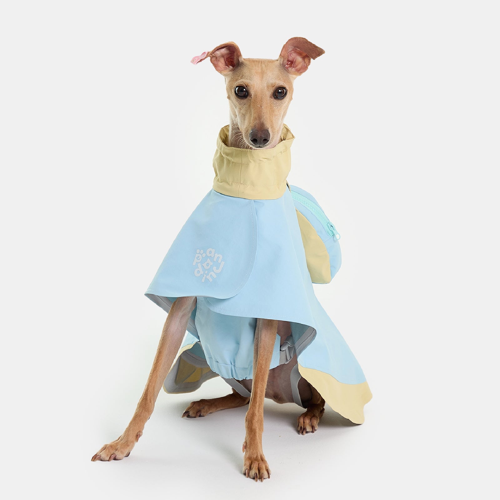 Sky TrailCape Small Dog Jacket & Raincoat | PANDAJIN