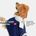 Load image into Gallery viewer, Ridge Dog Raincoat