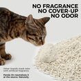 Load image into Gallery viewer, Cassava × Tofu Plant Cat Litter