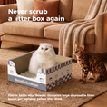 Load image into Gallery viewer, Disposable Litter Box – 5 Sizes for Kittens to Large Cats
