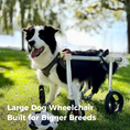 Load image into Gallery viewer, Full-Support Dog Wheelchair for Big Dogs