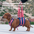 Load image into Gallery viewer, Dog Hind Leg Lift Harness
