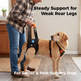 Load image into Gallery viewer, Dog Hind Leg Lift Harness