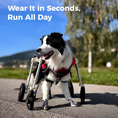 Load image into Gallery viewer, Full-Support Dog Wheelchair for Big Dogs