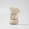 Load image into Gallery viewer, Cassava × Tofu Plant Cat Litter