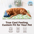 Load image into Gallery viewer, PANDAJIN CoolWeave Washable Pet Cooling Blanket