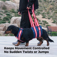 Load image into Gallery viewer, Dog Hind Leg Lift Harness