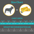 Load image into Gallery viewer, Reflective Dog Life Jacket for Kayaking & Swimming