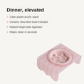 Load image into Gallery viewer, Feature highlights of pastel acrylic elevated pet bowl