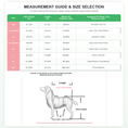 Load image into Gallery viewer, Full-Support Dog Wheelchair for Big Dogs