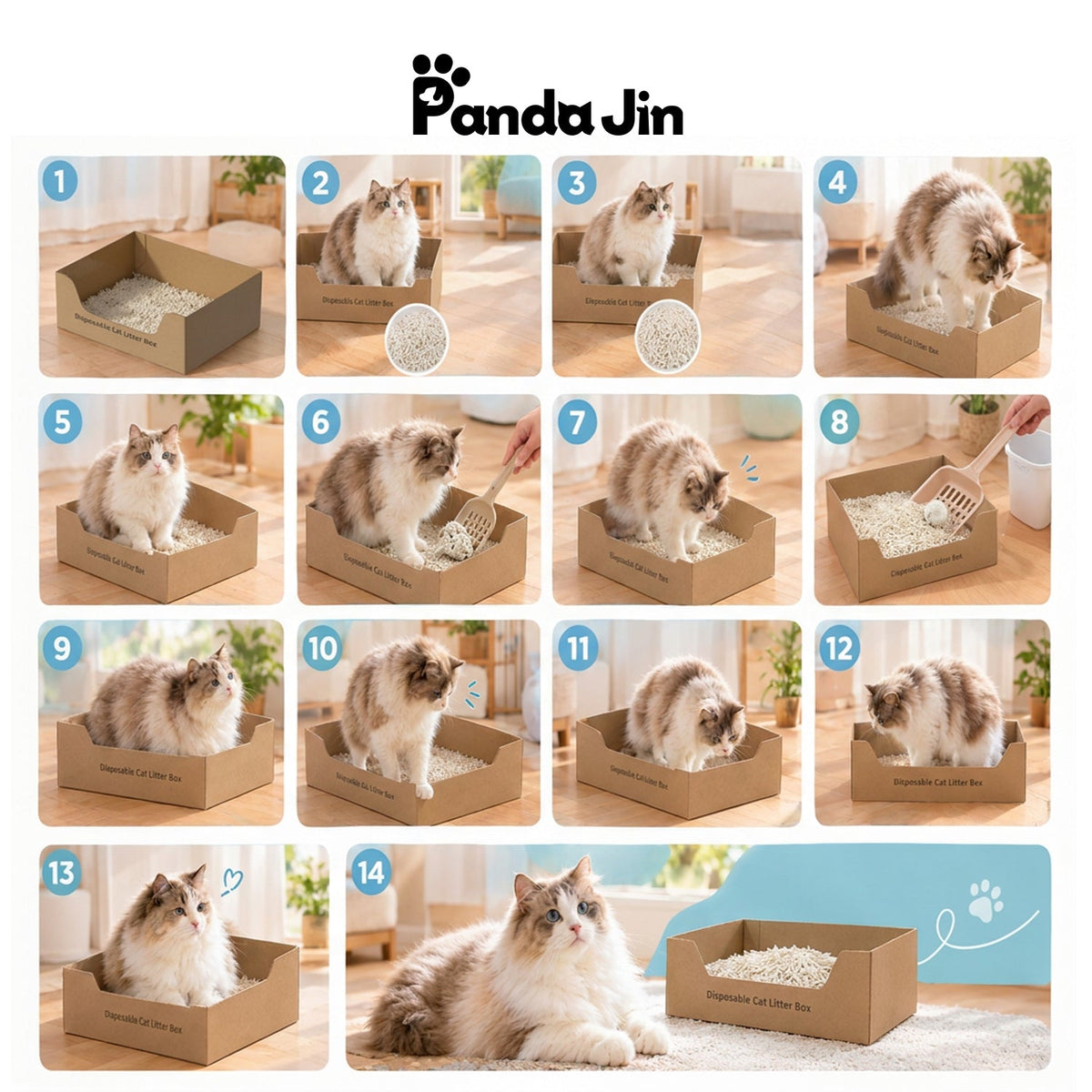 How to Transition Your Cat to a Disposable Litter Box: Complete 14-Day Plan