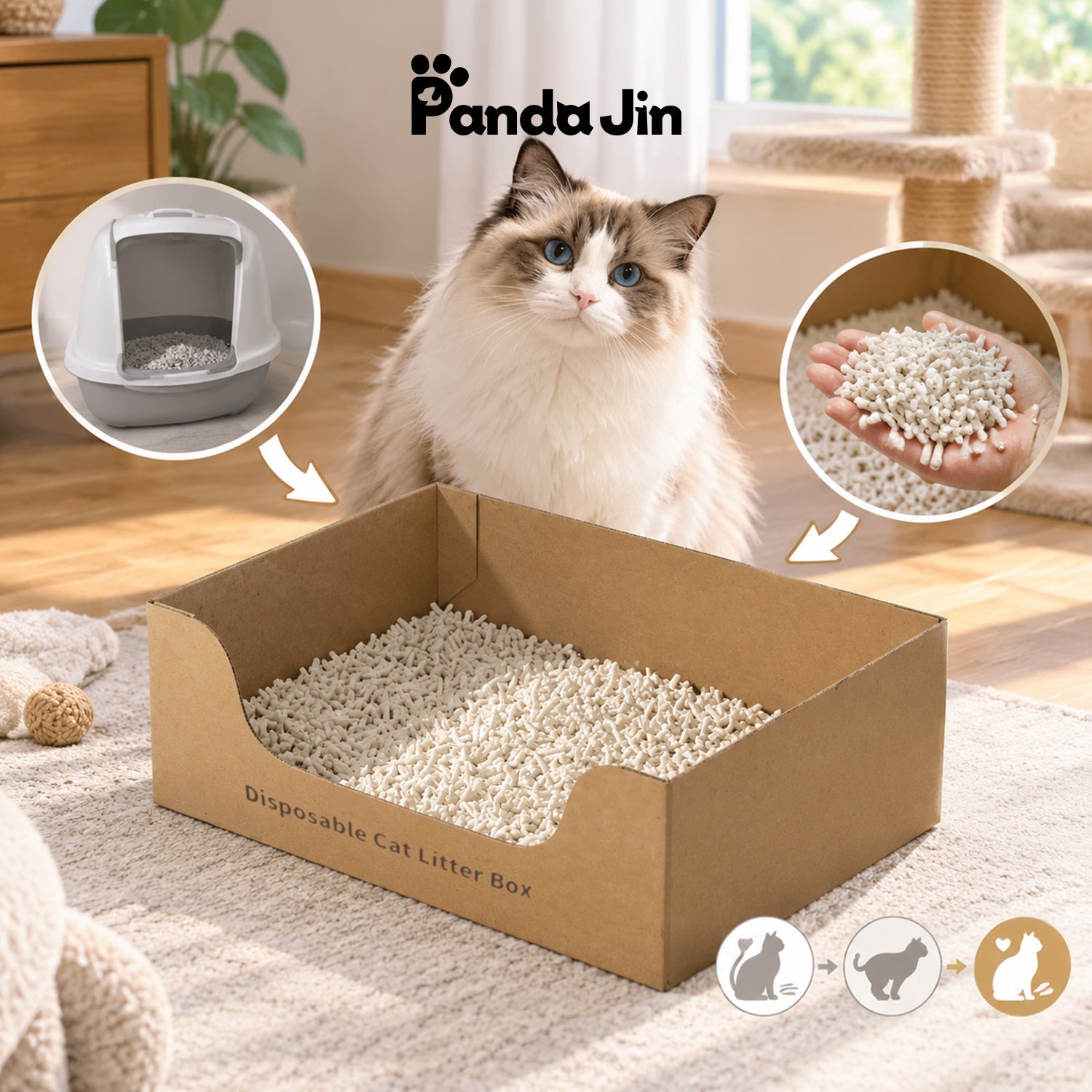 CKD Cats and Litter Box Changes: What to Watch For