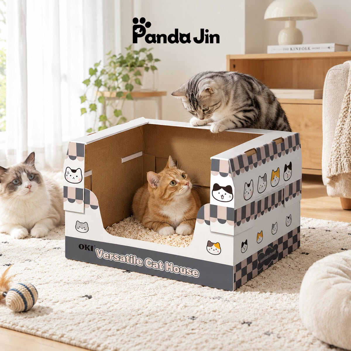 Disposable Litter Boxes for Multi-Cat Households: Territory, Odor, and Peace
