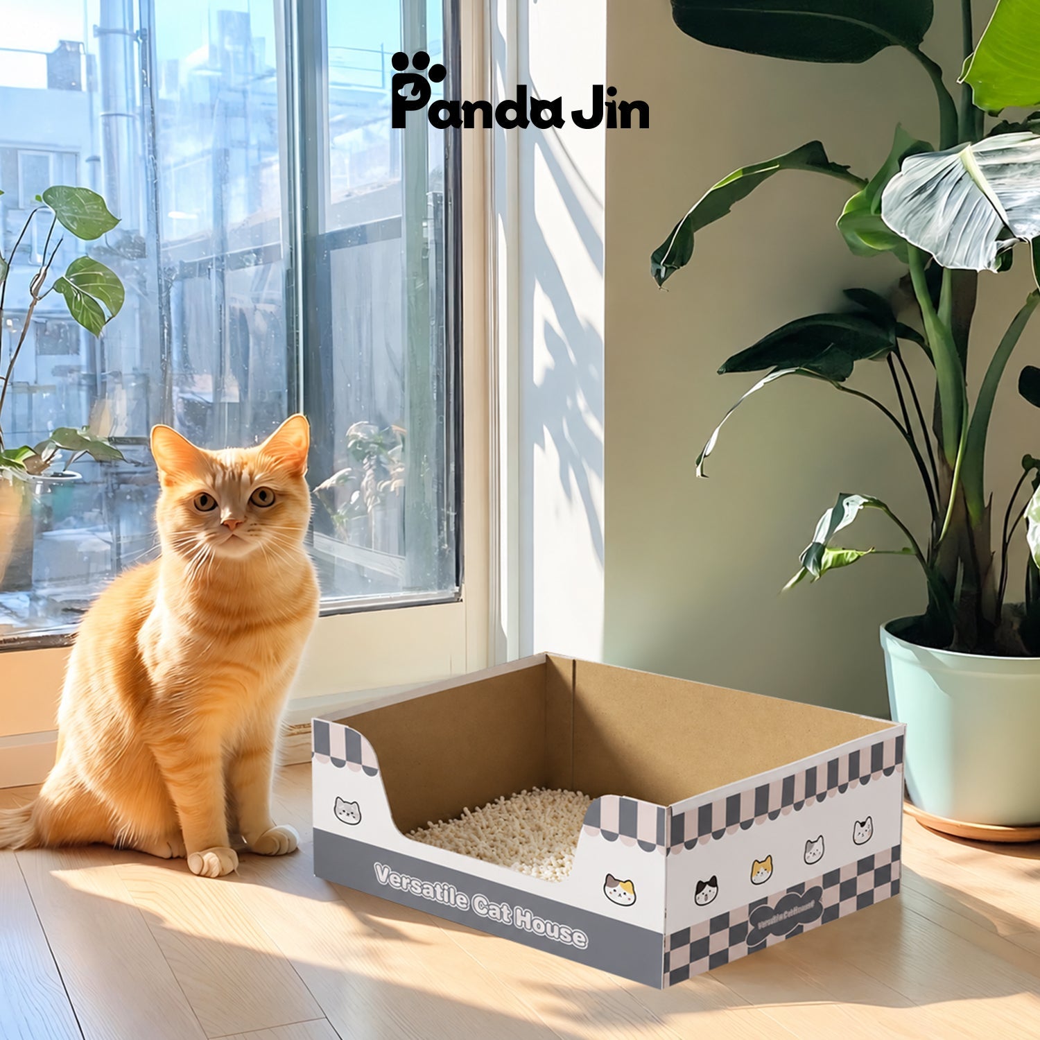 Top 10 Cat Litter Box Mistakes (And How to Fix Them)