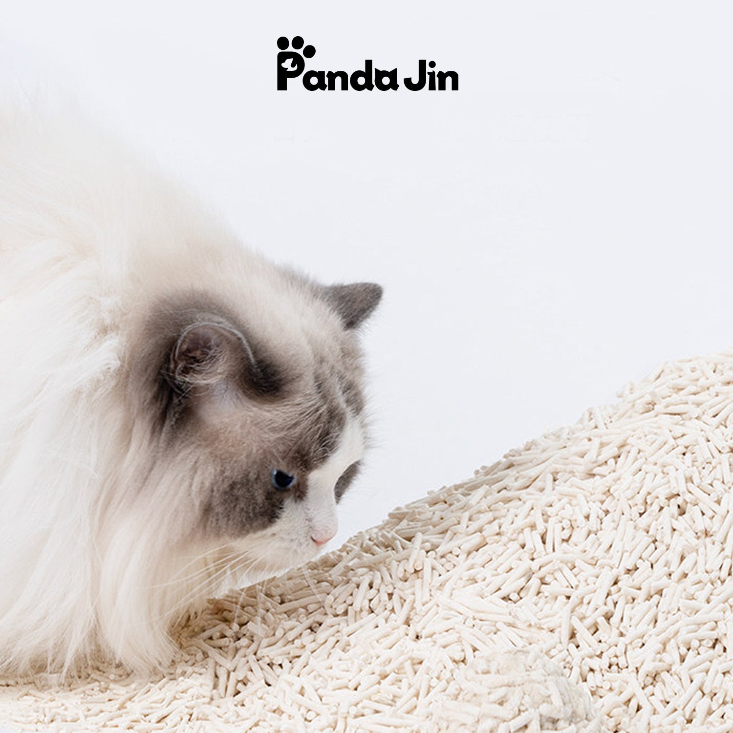 How to Stop Your Cat from Kicking Litter Out of the Box