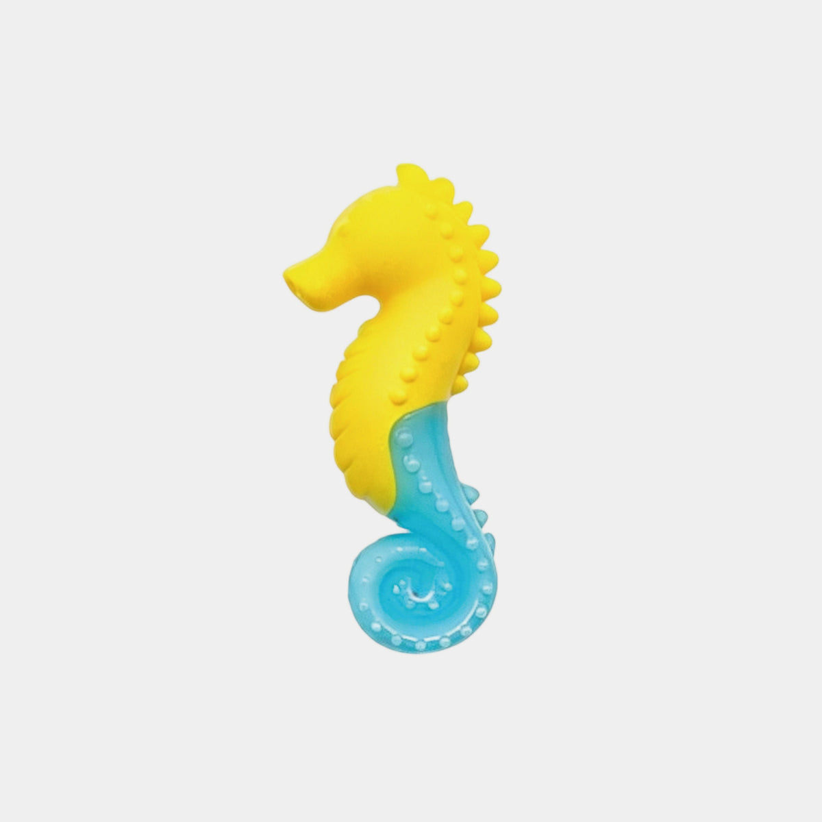 Ocean Glow Dog Toys | Floating Squeaky Fetch Toys for Water Play