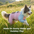 Load image into Gallery viewer, Cooling Four-Leg Dog Suit – UV Protection & Joint Cover
