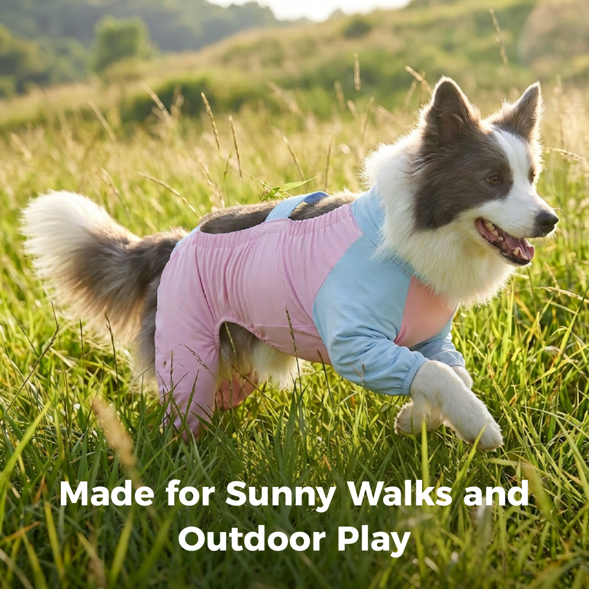 Cooling Four-Leg Dog Suit – UV Protection & Joint Cover