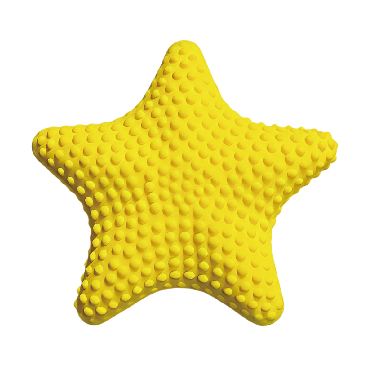 Ocean Glow Dog Toys | Floating Squeaky Fetch Toys for Water Play