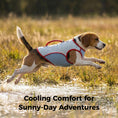 Load image into Gallery viewer, Adjustable Water-Activated Cooling Vest for Dogs
