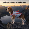 Load image into Gallery viewer, Adjustable Water-Activated Cooling Vest for Dogs
