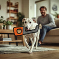Load image into Gallery viewer, Oxford Cloth Tool-Shaped Dog Toy – Durable & Interactive
