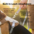 Load image into Gallery viewer, Adjustable Water-Activated Cooling Vest for Dogs
