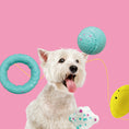 Load image into Gallery viewer, Durable Dog Chew Toys Set | Natural Rubber Teething Ball for Aggressive Chewers
