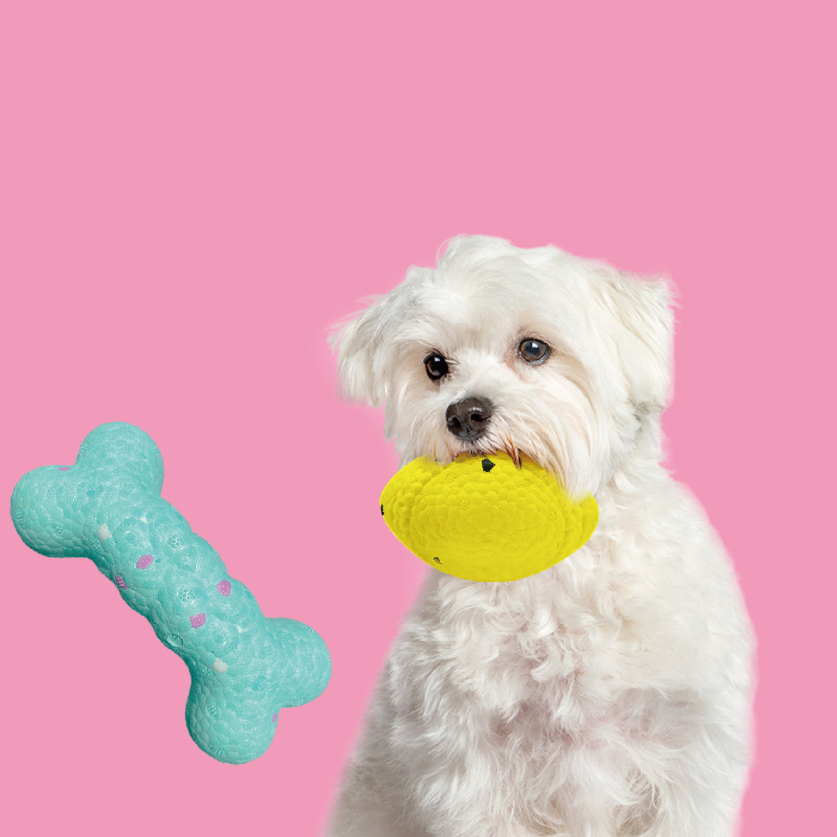 Durable Dog Chew Toys Set | Natural Rubber Teething Ball for Aggressive Chewers