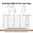 Load image into Gallery viewer, A sizing guide for a dog collar, titled 'Find the Right Fit for Your Dog' on a white background. It features black line drawings of a dog showing back length and a cat showing neck/chest measurements, with red measurement lines.
