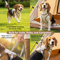 Load image into Gallery viewer, Adjustable Water-Activated Cooling Vest for Dogs
