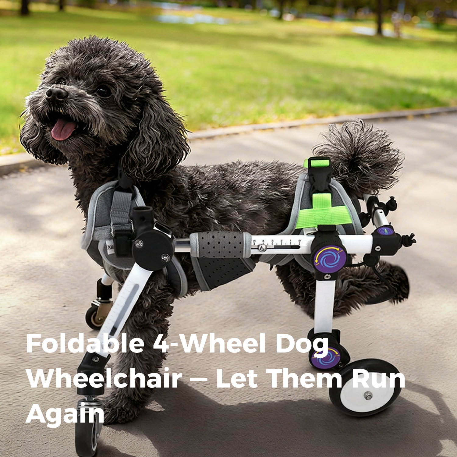 Adjustable Full-Support Dog Wheelchair for small Dogs