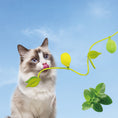 Load image into Gallery viewer, Interactive Cat Teaser Wand Toy – Fun & Engaging

