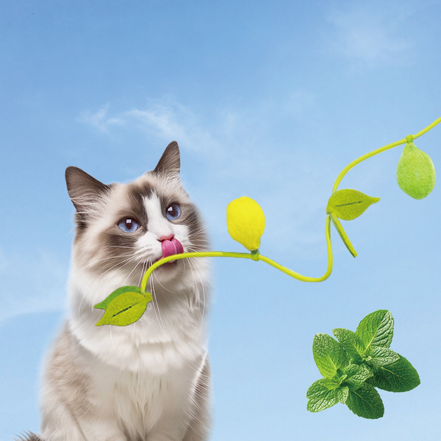 Interactive Cat Teaser Wand Toy – Fun & Engaging