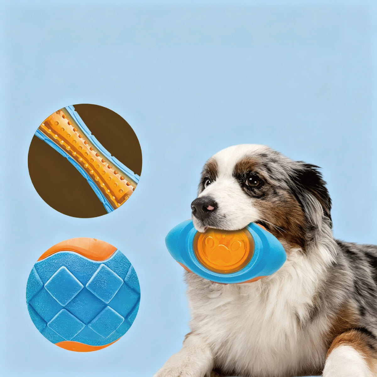 Floating Dog Toys Set | Squeaky Water Balls & Chew Bones for Pool Play
