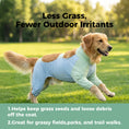 Load image into Gallery viewer, Cooling Four-Leg Dog Suit – UV Protection & Joint Cover
