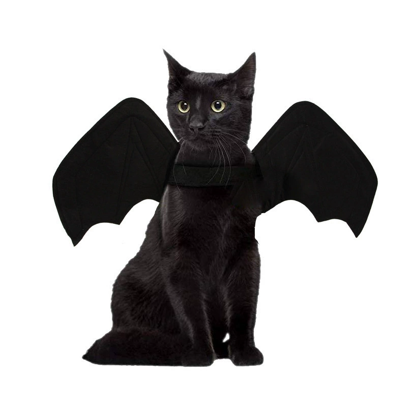 Halloween Bat Wings Costume for Cats & Dogs