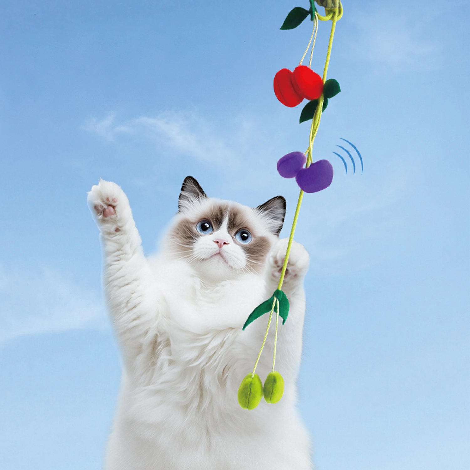 Interactive Cat Teaser Wand Toy – Fun & Engaging