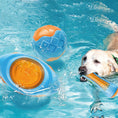 Load image into Gallery viewer, Floating Dog Toys Set | Squeaky Water Balls & Chew Bones for Pool Play
