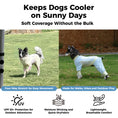 Load image into Gallery viewer, Beat the Heat Gear
