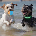 Load image into Gallery viewer, Floating Dog Toys Set | Squeaky Water Balls & Chew Bones for Pool Play
