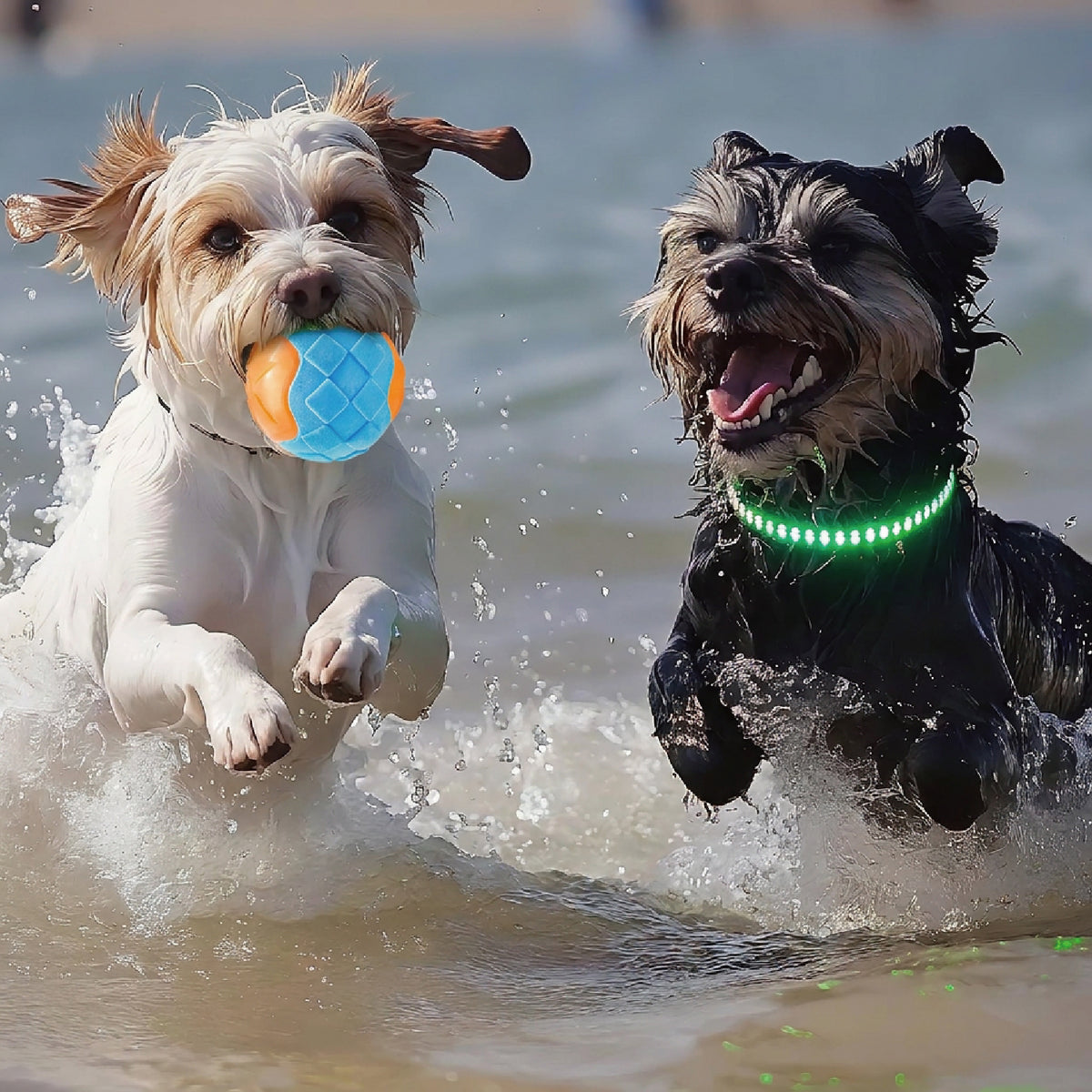Floating Dog Toys Set | Squeaky Water Balls & Chew Bones for Pool Play