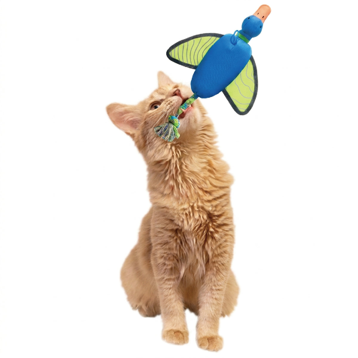 Interactive Launch & Fetch Dog Toy – Squeaky & Fun