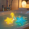 Load image into Gallery viewer, Ocean Glow Dog Toys | Floating Squeaky Fetch Toys for Water Play
