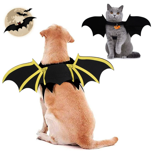 Halloween Bat Costume for Cats & Dogs