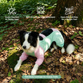 Load image into Gallery viewer, Cooling Four-Leg Dog Suit – UV Protection & Joint Cover
