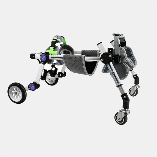 Adjustable Full-Support Dog Wheelchair for small Dogs