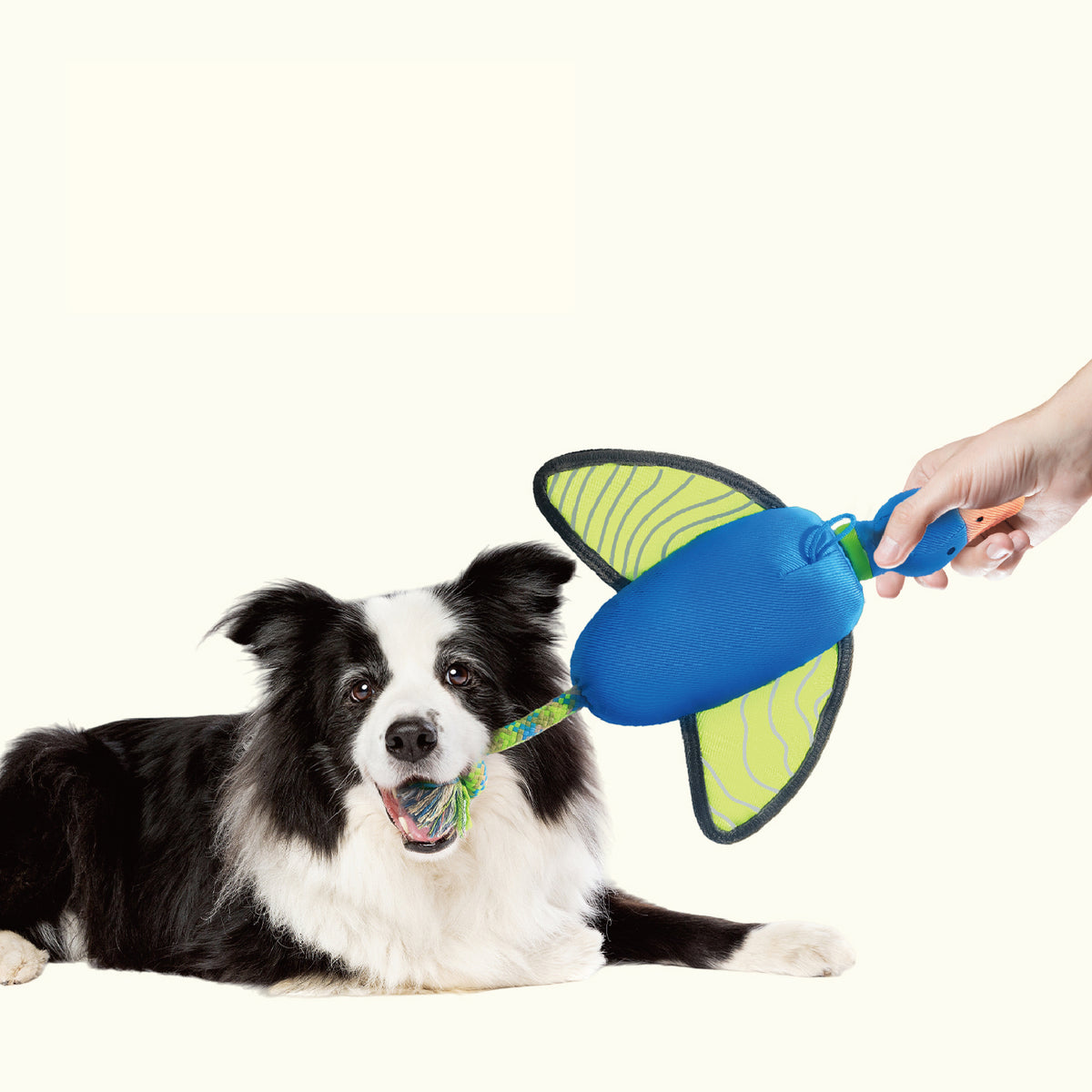 Interactive Launch & Fetch Dog Toy – Squeaky & Fun